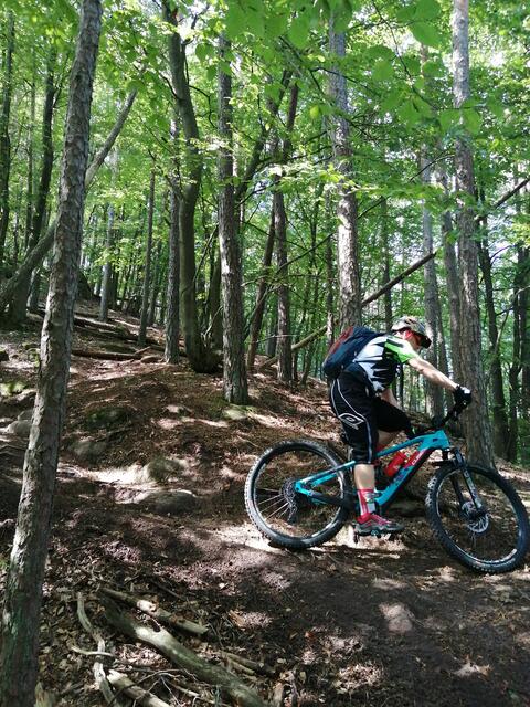 Wölmersberg | Foto: Ich