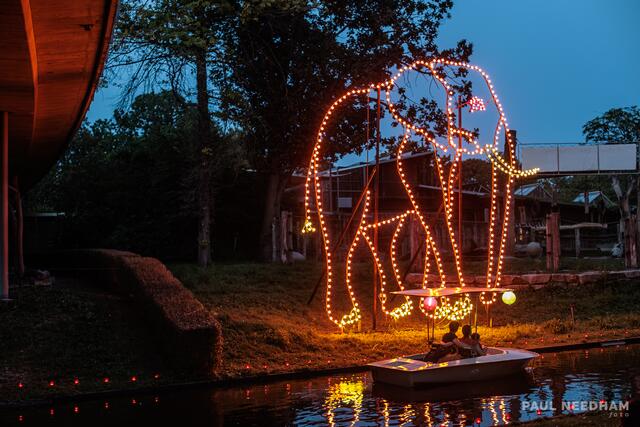 Das Karlsruher Lichterfest, Zoologische Stadtgarten Karlsruhe | Foto: Paul Needham