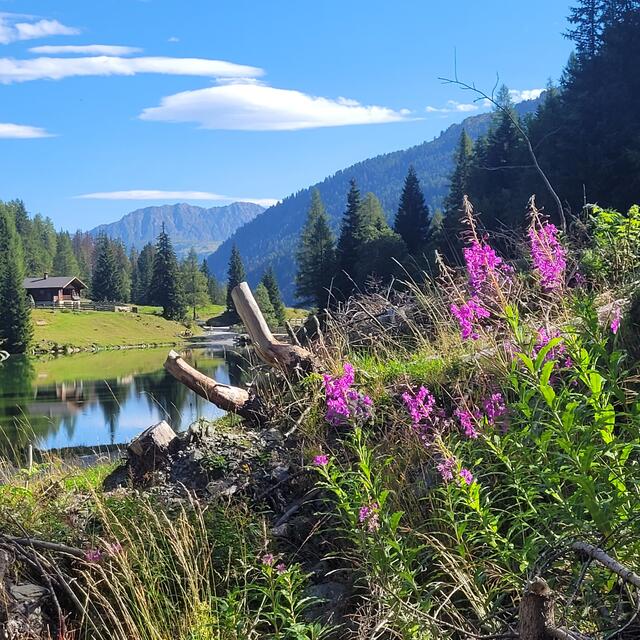 Abstieg nach Obertilliach | Foto: Markus Pacher 