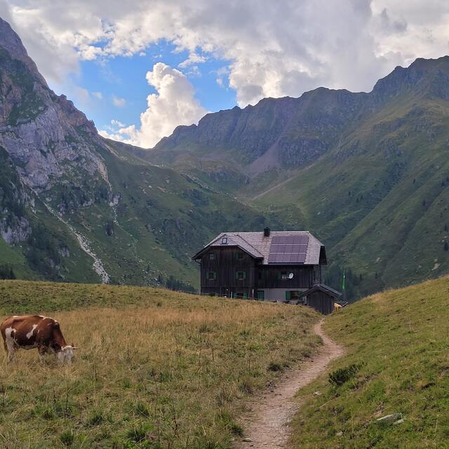 Transalp  | Foto: Markus Pacher 
