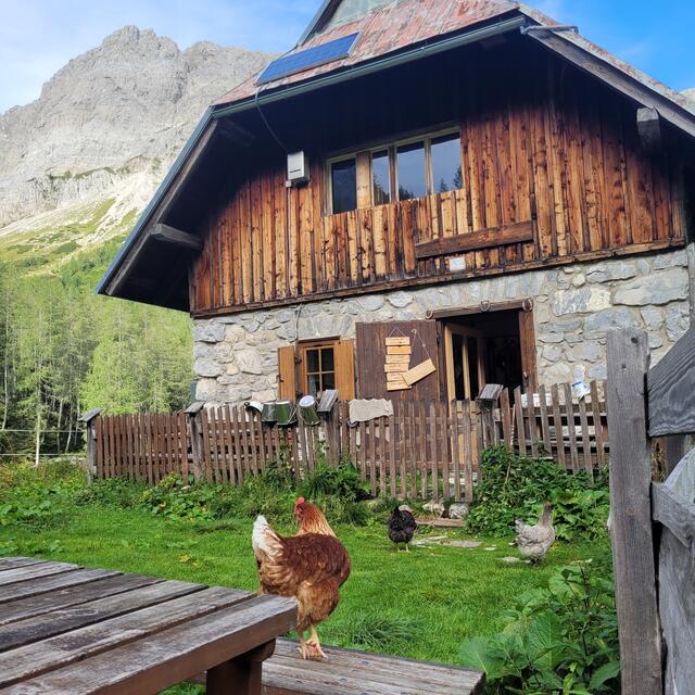 Almidylle | Foto: Markus Pacher 