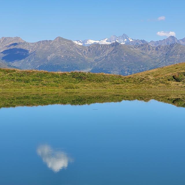 Conny Alm | Foto: Markus Pacher 