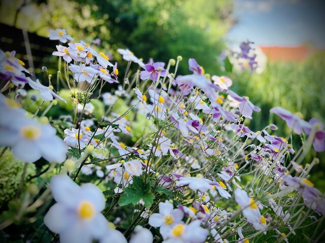 Foto: Michael Becker