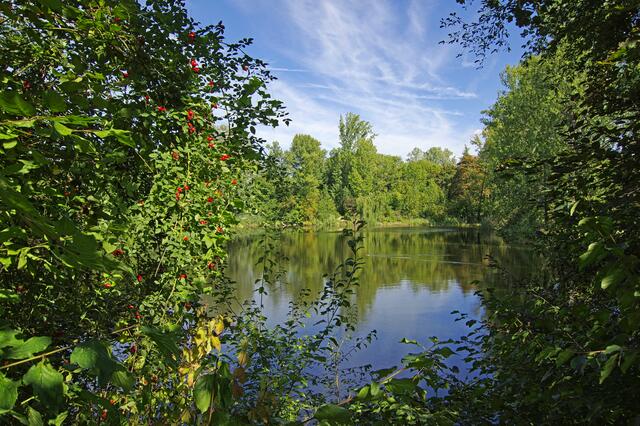 Zehnmorgenweiher, Ludwigshafen/Friesenheim | Foto: Ilona Schäfer