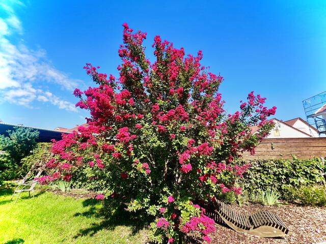 Foto: Michael Becker