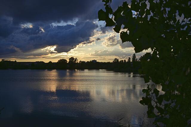 Begütenweiher, Ludwigshafen/Friesenheim | Foto: Ilona Schäfer