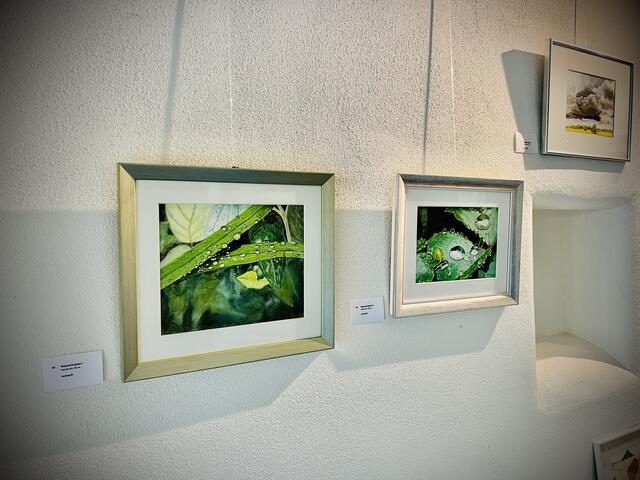 Foto: Michael Becker