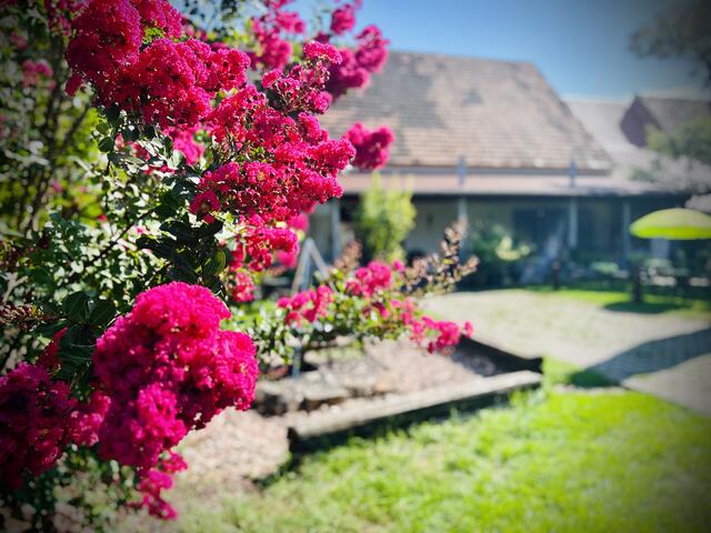 Foto: Michael Becker