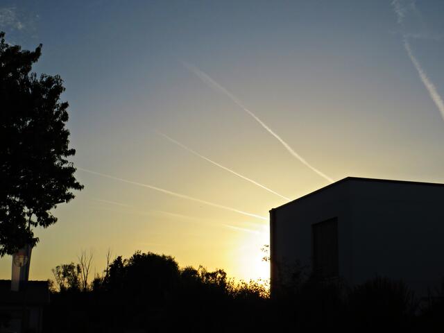 "Sonnenstrahlen" | Foto: Brigitte Melder