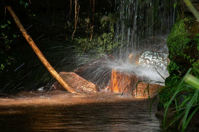Hilscher Weiher  Wasserfall Edenkoben ......Juli 2020 | Foto: Tina Kirsch Photografie