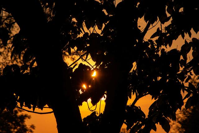 Sonnenuntergang mit versteckter Sonne ---- Erpolzheim September 22 | Foto: Tina Kirsch Photografie