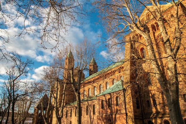 Dom zu Speyer ---Dezember 2022  | Foto: Tina Kirsch Photografie
