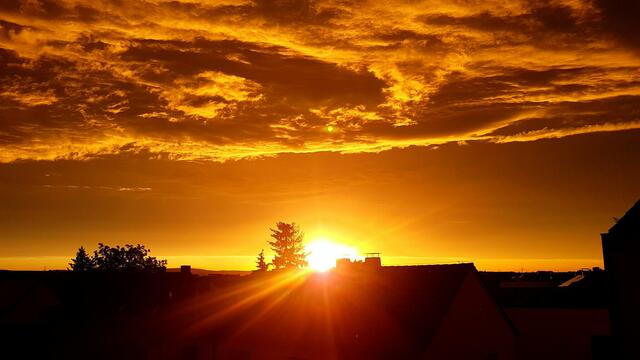Sonnenungtergang über den Dächern von Mutterstadt  --- Juni 2023 | Foto: Tina Kirsch Photografie