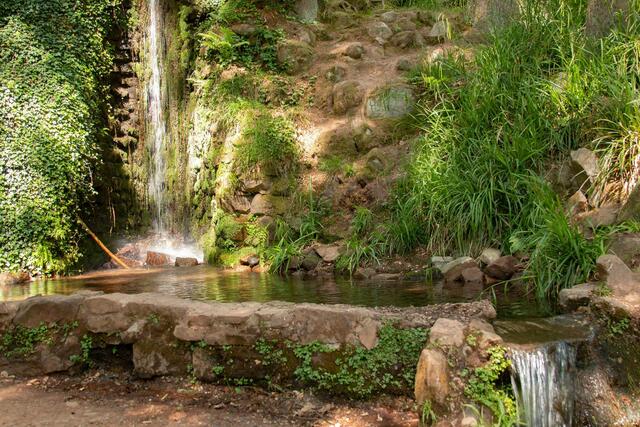 Hilscher Weiher Wasserfall ----- Juni 2021 | Foto: Tina Kirsch Photografie