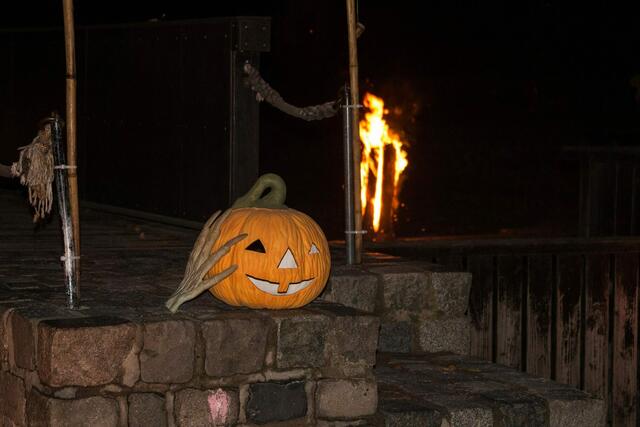 Hlloween Ausstellung Luisenpark November 2020 | Foto: Tina Kirsch Photografie