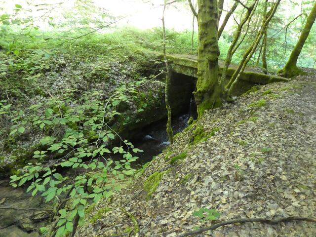 Brücke im Breitenbachtal | Foto: Ich