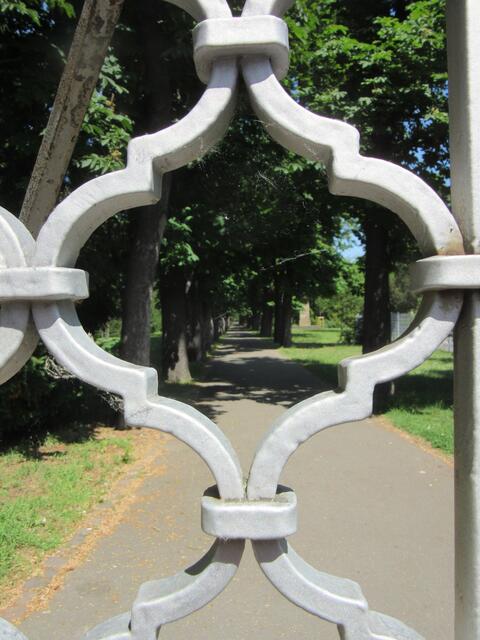Ein Blick vom Tor auf eine der Baumalleen auf dem Parkfriedhof Frankenthal | Foto: Maiken Liefeith