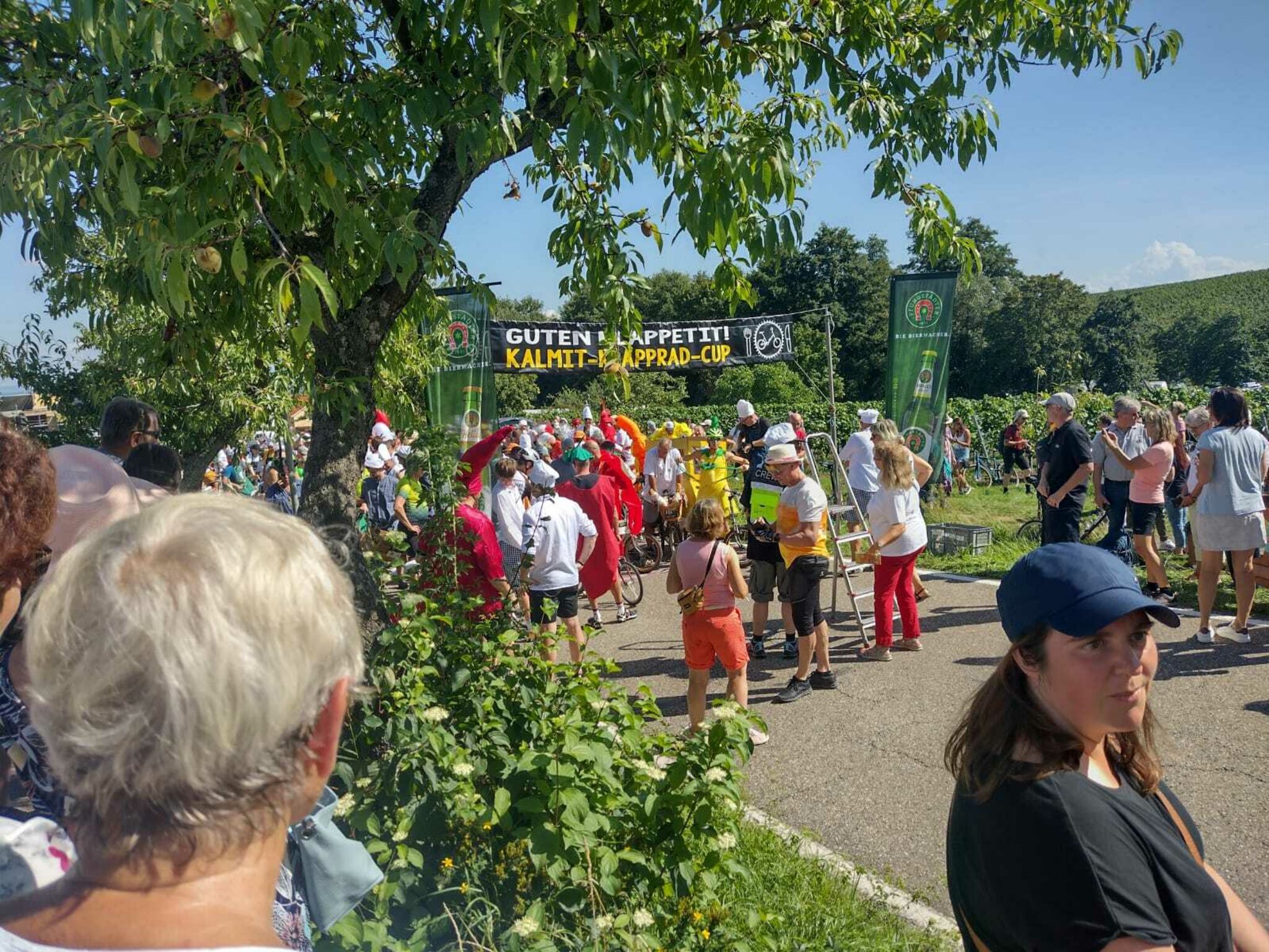 Klappradrennen: Kalmit-Klapprad-Cup 2023 mit 900 Feinschmeckern (mit  Bildergalerie) - Maikammer