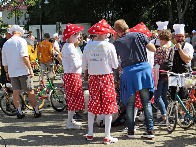 Fliegenpilze | Foto: Brigitte Melder