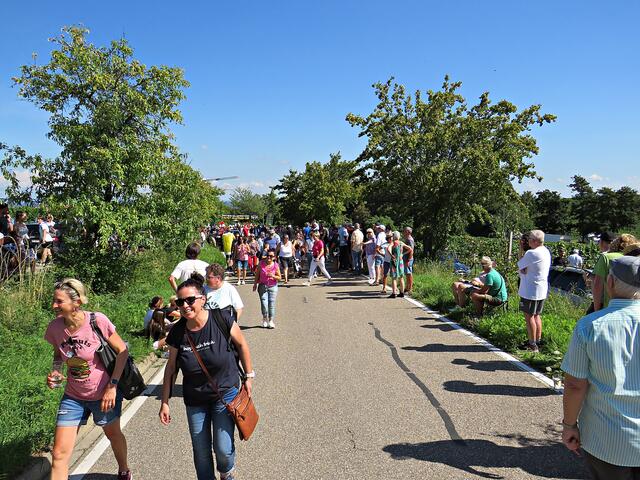 Eine Menge los an der Straße zur Kalmit | Foto: Brigitte Melder