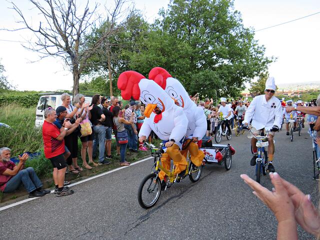 Hühnertandem | Foto: Brigitte Melder