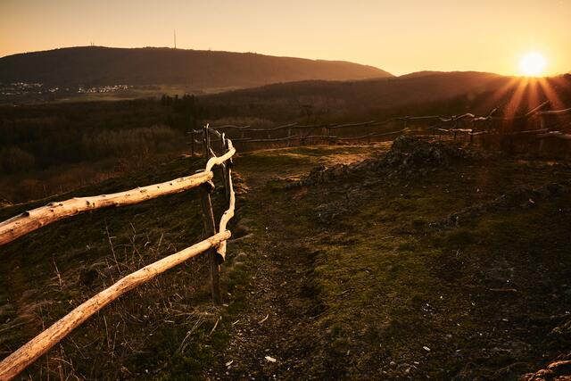 Der Schwarzenfels mit Blick zum Donnersberg im März | Foto: Florian Bauer 