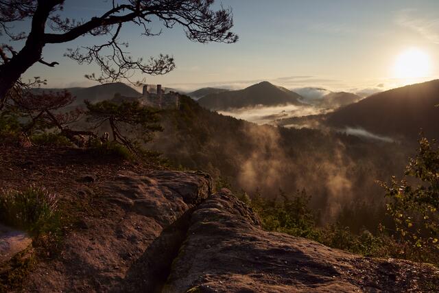 Der versteckte Fels mit Blick zur Ruine Altdahn im August | Foto: Florian Bauer 
