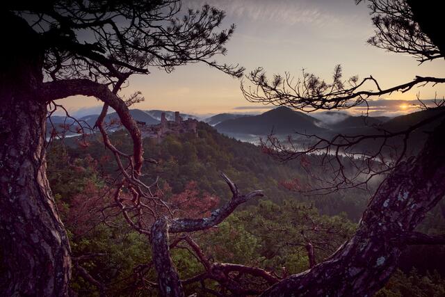 Der versteckte Fels mit Blick zur Ruine Altdahn im August | Foto: Florian Bauer