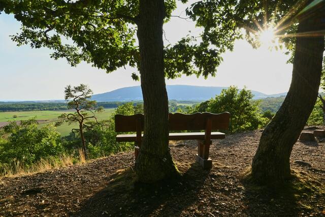 Name ist Programm.Die "Schöne Aussicht" mit Donnersbergblick versteckt im Wald bei Kirchheimbolanden . Aufnahme September  | Foto: Florian Bauer