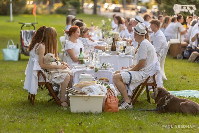 Dîner en blanc - Karlsruhe | Foto: Paul Needham