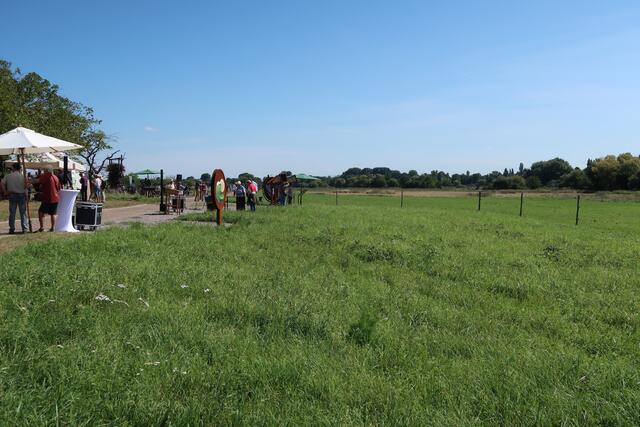 Beim neuen interaktiven Erlebnispfad im Billigheimer Bruch erfahren die Besucher unter anderem etwas über die vielen bedrohten Tierarten, die dort einen Lebens- und Rückzugsraum finden | Foto: KV SÜW