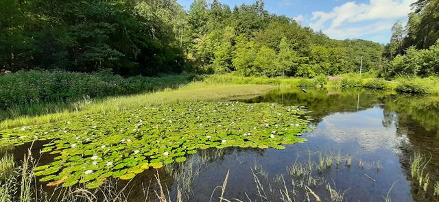 Foto: Bild wurde von mir erstellt.