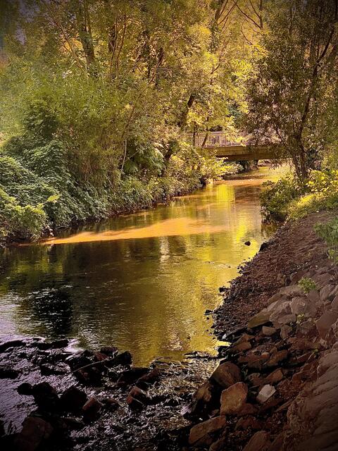 An der Alb in Ettlingen  | Foto: Angela Natuno 