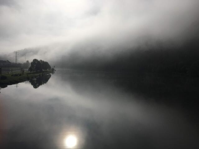 Oktobermorgen am Neckar | Foto: Ute Bund