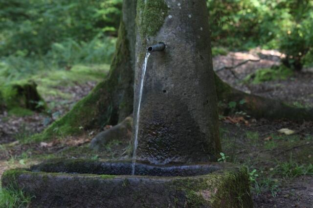 Steinhäuser Brunnen | Foto: Lara Blumgart