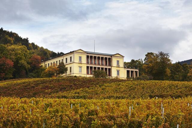 Die klassizistische Villa erhebt sich auf einer Anhöhe bei Edenkoben. Von 1846 bis 1852 ließ Ludwig I. sie nach Plänen von Friedrich von Gärtner als Sommerresidenz bauen. | Foto: GDKE Rheinland-Pfalz / Pfeuffer