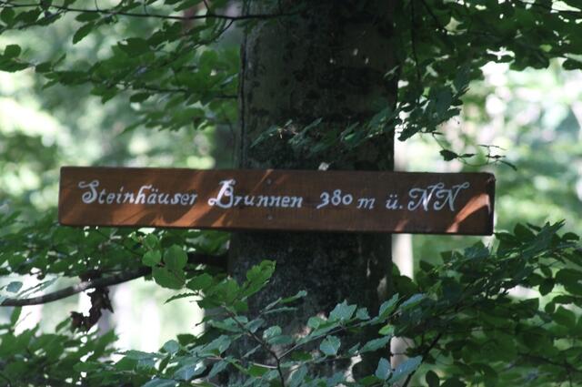 Steinhäuser Brunnen | Foto: Lara Blumgart