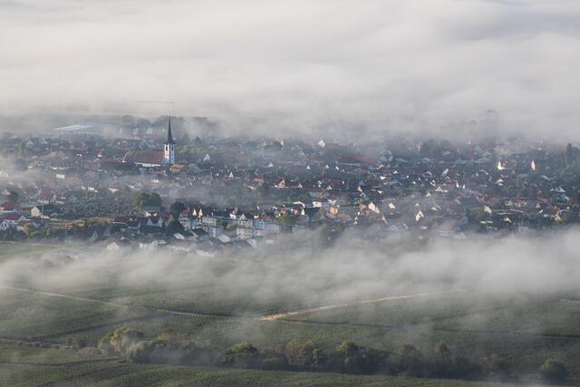 Maikammer verschleiert durch Nebel (September)
Bild: privat/Georg Beck | Foto: Georg Beck