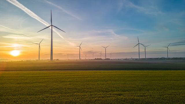 Windpark bei Herxheim/Landau (Mai)
Bild: privat/Georg Beck | Foto: Georg Beck