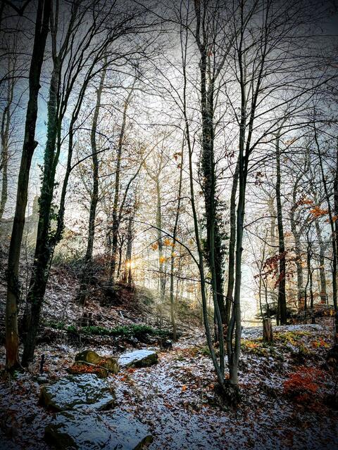 Wald ums Schloss 
Winter 2022
Hambacher Schloss | Foto: Axel Christmann 