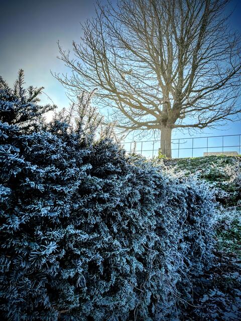 Schlossanlage
Winter 2022
Hambacher Schloss | Foto: Axel Christmann 