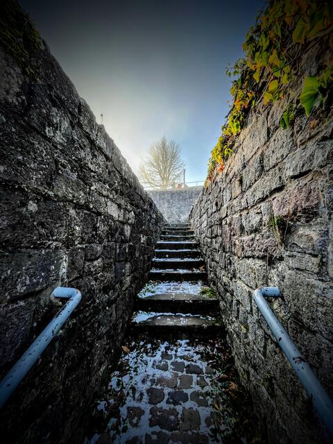 Treppenaufgang
Winter 2022
Hambacher Schloss | Foto: Axel Christmann 