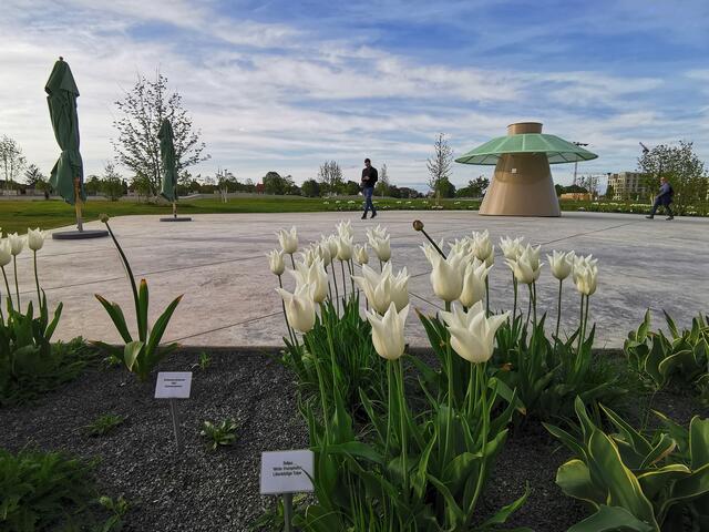 BUGA 2023, Spielplatz auf dem Spinelli-Gelände, 30. April 2023 | Foto: (c) Andrea Weber-Knapp