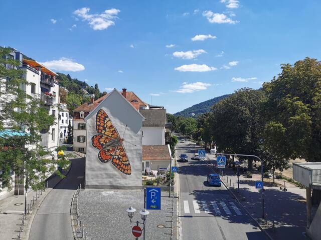 "Heidelberger Schmetterling" am Neckarufer, 8. August 2022 | Foto: (c) Andrea Weber-Knapp