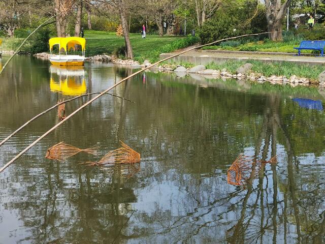 "Fliegende Fische" und Gondoletta im Luisenpark Mannheim, 15. April 2023 | Foto: (c) Andrea Weber-Knapp