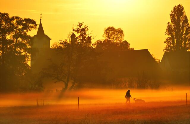 April / Sonnenaufgang mit Bodendunst an diesem kalten Morgen Nähe Hilbenhof, Haßloch | Foto: Angelika Bullinger
