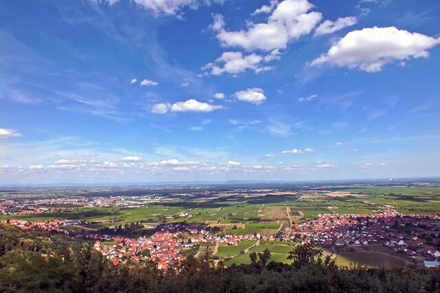 Sptember / Herrliche Aussicht von der Kalmit in die Rheinebene | Foto: Angelika Bullinger