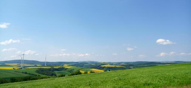 Foto: Jürgen Krebs
