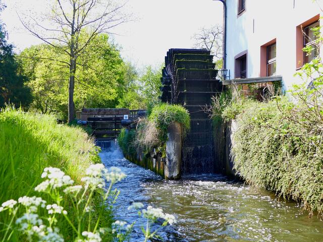 April / Das alte Mühlrad hinter der Aumühle, Haßloch | Foto: Angelika Bullinger
