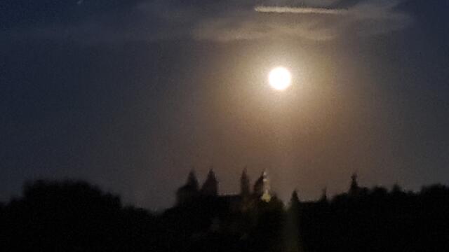 Dom zu Speyer | Foto: Gunter Martini-Schmitt